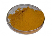 Auramine O (c.i. Basic Yellow 2)
