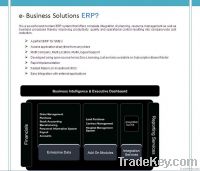 Business ERP Solutions