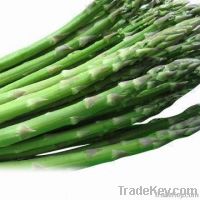 Fresh Asparagus