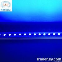 Single Color/RGB LED Wall Washer Blue IP65 for outdoor