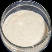Concentrated Soy Protein powder