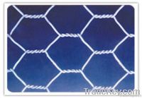 Hexagonal gabion wire mesh