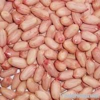 Raw Peanuts