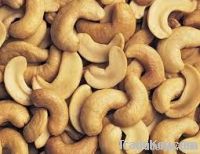 Cashew Nut