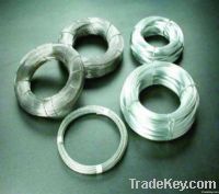 Galvanized Iron Wire for Wire Mesh