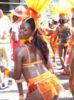 Trinidad Carnival DVD