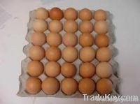 Table eggs