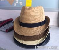 Summer Hat/Beach hat /Fedora straw hat