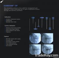 Kyphoplasty System