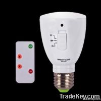 12V DC Remote LED Bulb