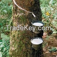 NATURAL RUBBER CUP LUMP