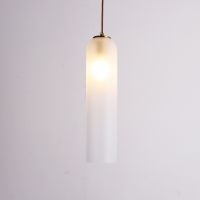 Modern Glass Popular Led Pendant Light, Decorated Led Pendant Light, Glass Led Pendant Lamp