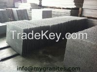 Polished granite tile
