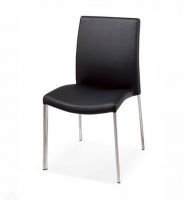 Dining Chair of Easily Match Decor