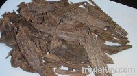 Cambodia agarwood