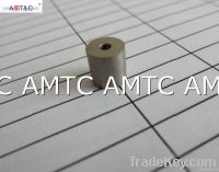 Samarium cobalt (SmCo) ring magnet