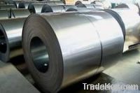 Stainless Steel Sheet/Coil/Plate