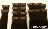 Hair clip extensions