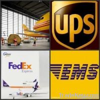 International express, air freight, shipping, import and export, logis