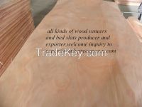 wood veneer