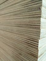 birch plywood