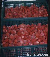 IQF frozen strawberries