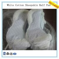 https://www.tradekey.com/product_view/Comfort-White-Sheepskin-Horse-Half-Pad-7036506.html