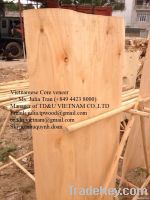 Vietnamese Eucalyptus core veneer