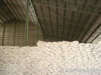 Best Price Tapioca Starch in Vietnam