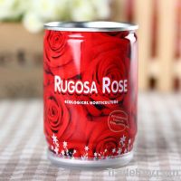 Canned flower with rose