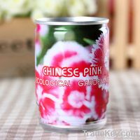 mini flower in a can with chinese pink