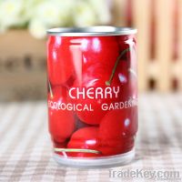 home garden green house with cherry