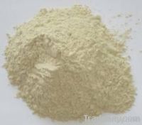 Bentonite Powder