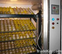 EGG INCUBATOR