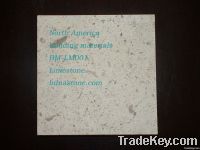 https://ar.tradekey.com/product_view/Beige-Limestone-Suppliers-Exporter-5095314.html
