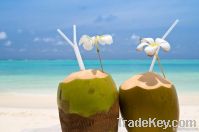 Tender Coconut Water - Harit Green Coconut