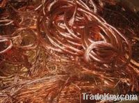 Copper Scraps Suppliers | Copper Scrap Exporters | Copper Scrap Manufacturers | Cheap Copper Scrap | Wholesale Copper Scraps | Discounted Copper Scrap | Bulk Copper Scraps | Copper Scrap Buyer | Import Copper Scrap | Copper Scrap Importers | Copper Scrap