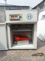 Digital Guaranteed Small Incubator for Hatching Eggs YZITE-1