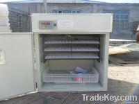 Digital Guaranteed Small Incubator for Hatching Eggs YZITE-1