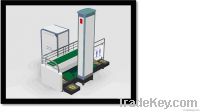 Body and baggage double channel security detector