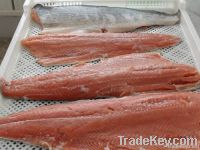 Frozen Seafood And Fish | Mackerel Fish | Salmon Fish | Ribbon Fish