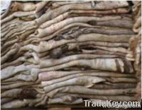 Wet And Dry Salted Cow Hide | Animal Skins