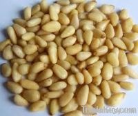 Flax Seeds|Sunflower Seed| Kidney Bean| Cashew Nuts|Peanuts|Groundnuts