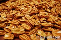 PECANS NUT