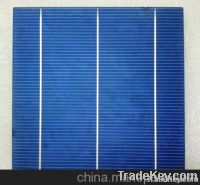 156 poly 3BB B grade solar cells