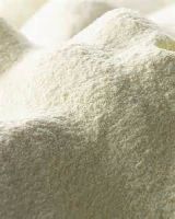 Deproteinized Whey Powder