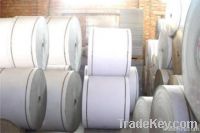 Coated Paper in Rolls