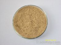 https://fr.tradekey.com/product_view/Alkaline-Protease-5083254.html