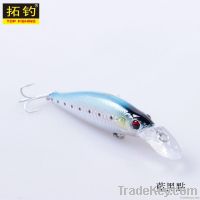 Hard  fishing lure