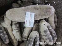 dried sea cucumber-teat fish